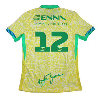 Ayrton Senna x Brazil